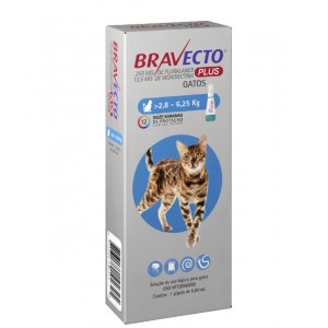 Antipulgas MSD Bravecto Transdermal Plus para Gatos de 2,8 a 6,25 Kg